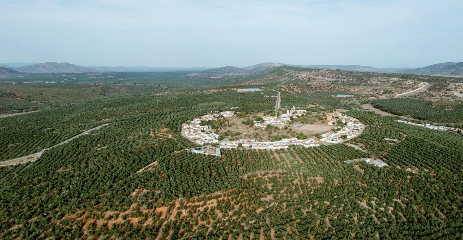 Vista aérea de Miraelrío rodeado por olivares